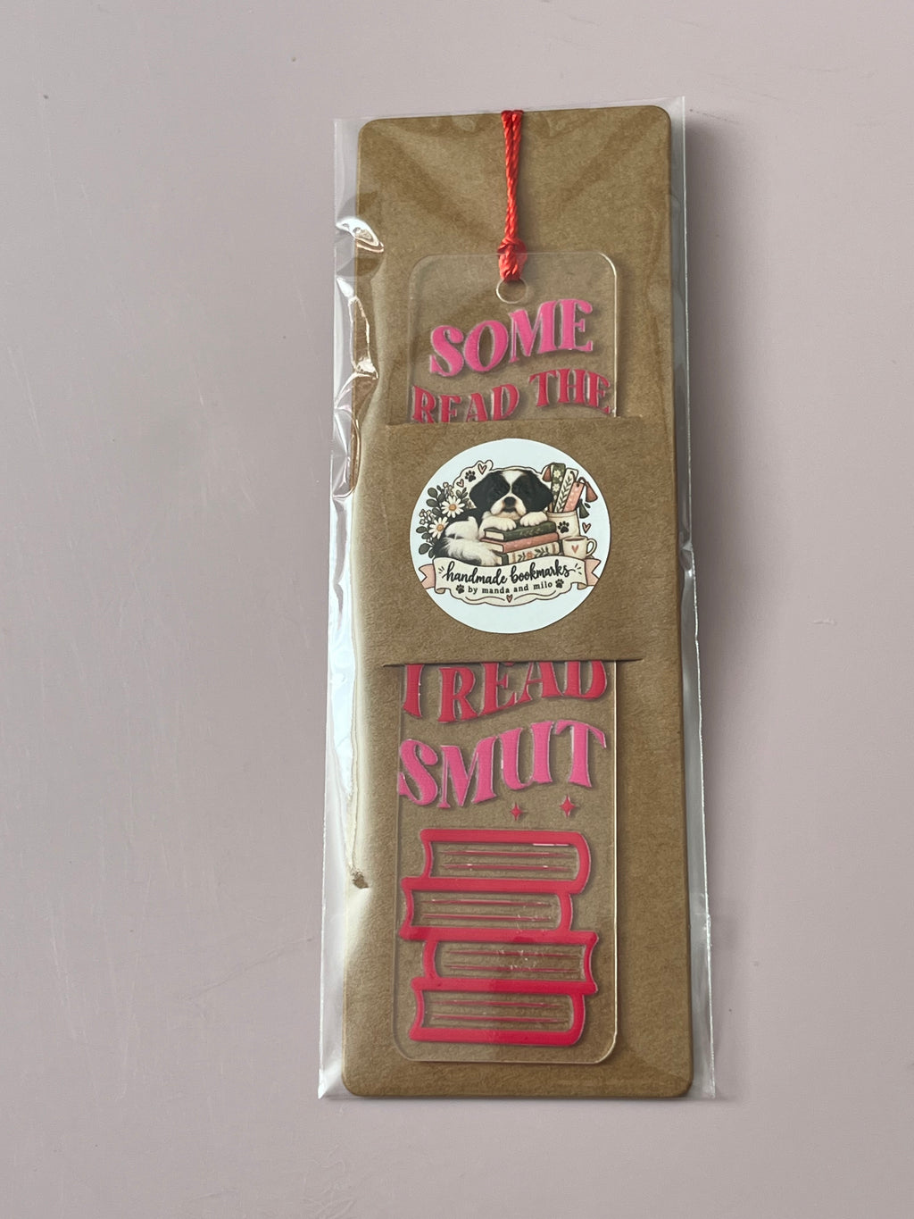 Some read the bible before bed i read smut bookmark