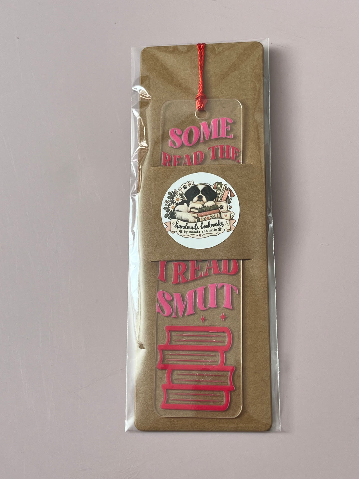 Some read the bible before bed i read smut bookmark